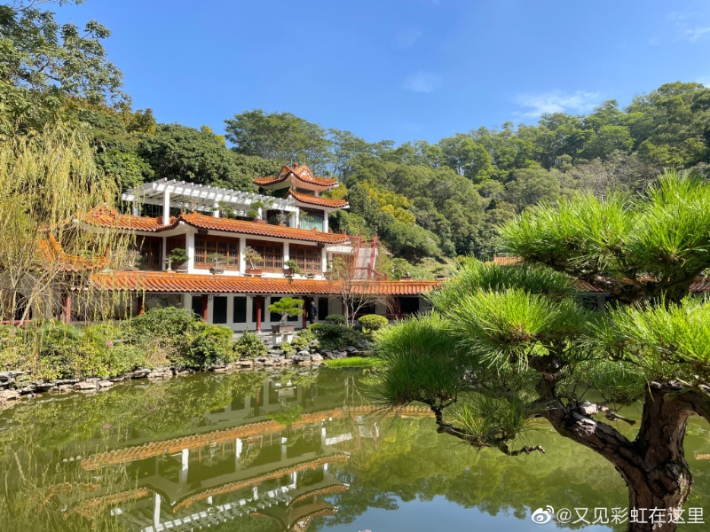 仙湖植物園被國家旅遊局評為國家AAAA級風景區。（圖片來源：小紅書@又見彩虹在這里）