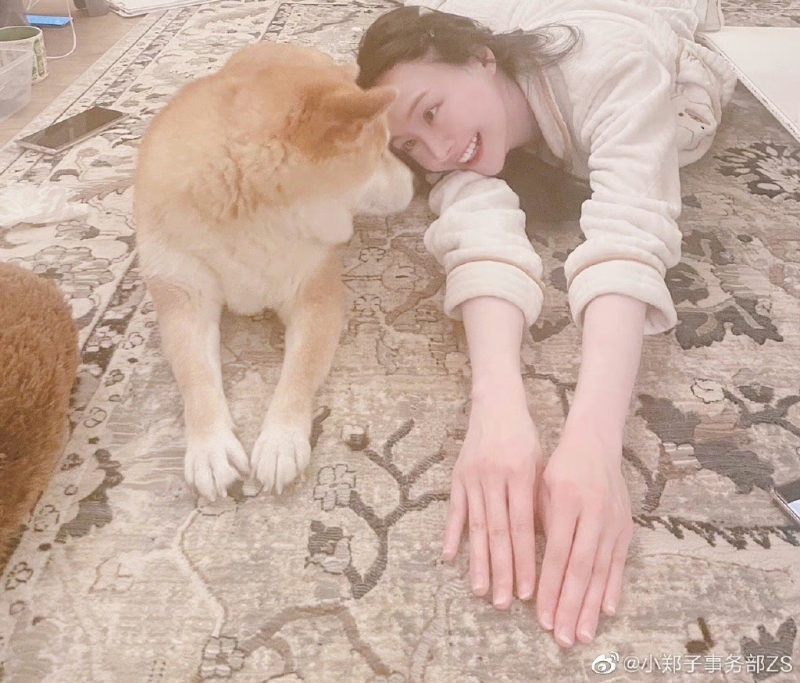 鄭爽粉絲稱是惡意P圖，并曬圖回擊