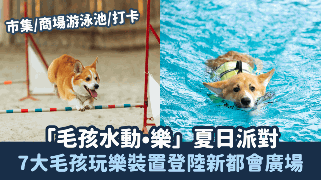 7大毛孩玩樂裝置登陸葵芳新都會廣場，市集、商場游泳池、打卡