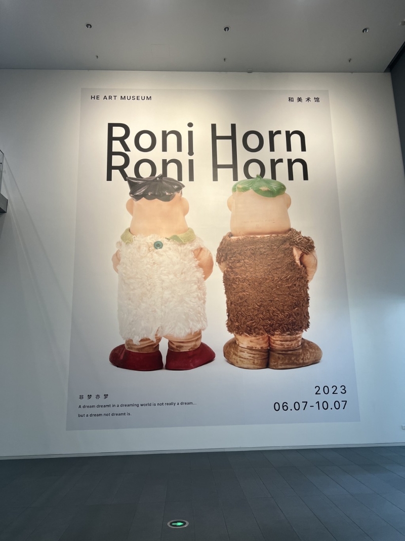 和美術館 Roni Horn《非夢亦夢》展覽，展期至2023年10月7日。圖：Trip@飛奔中的狼8