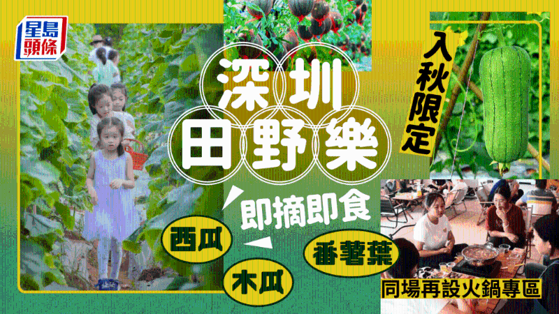秋季限定！深圳光明體驗田園采摘，即摘即食西瓜、甘蔗、木瓜