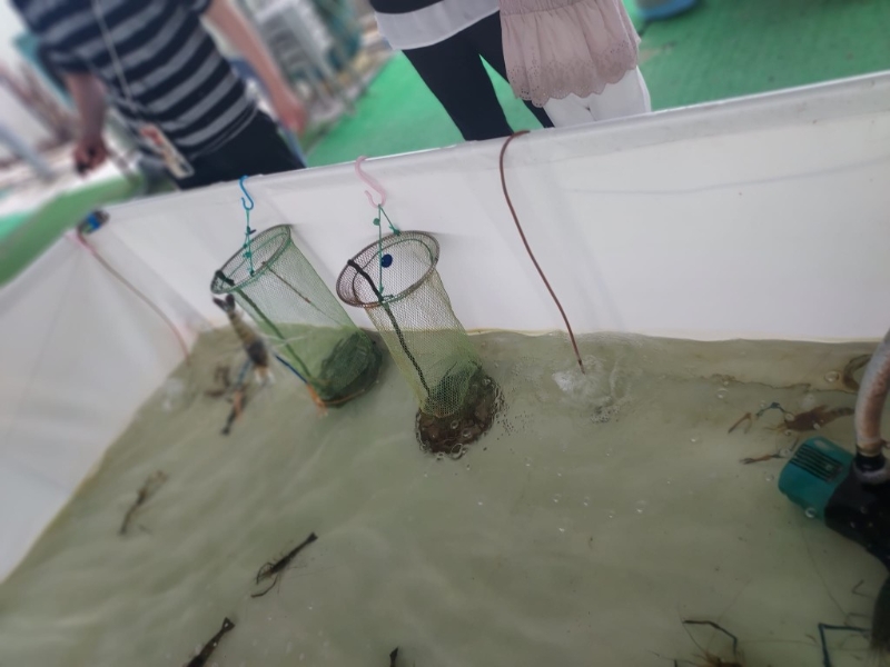 農莊設有釣蝦、釣魚場，即釣即燒夠新鮮惹味。 （圖片來源：天水圍富來休閑農莊及釣魚場）