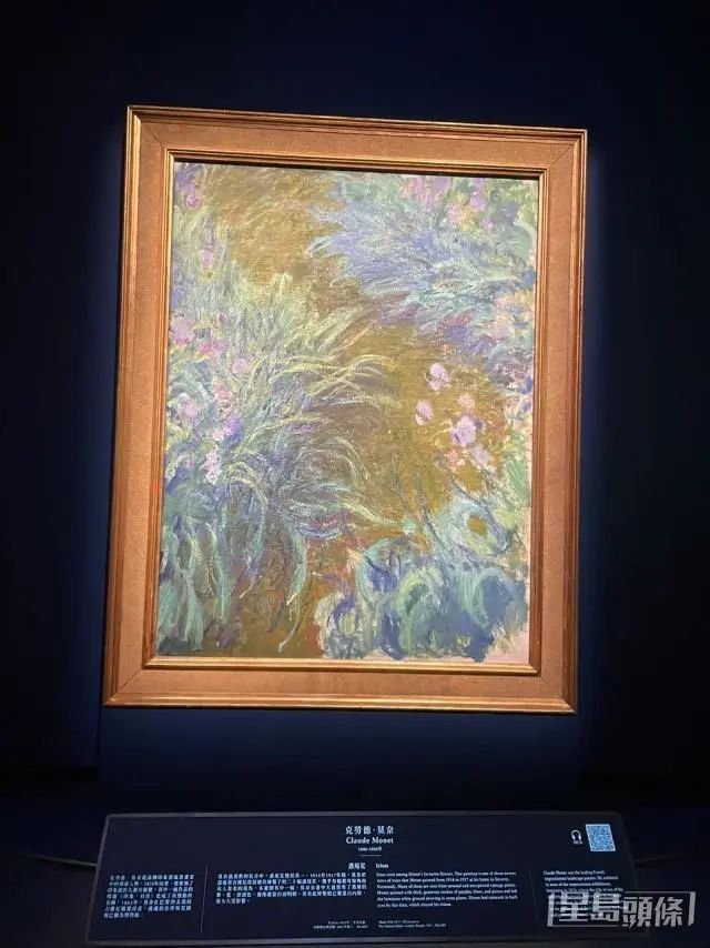 莫奈的《鳶尾花》。