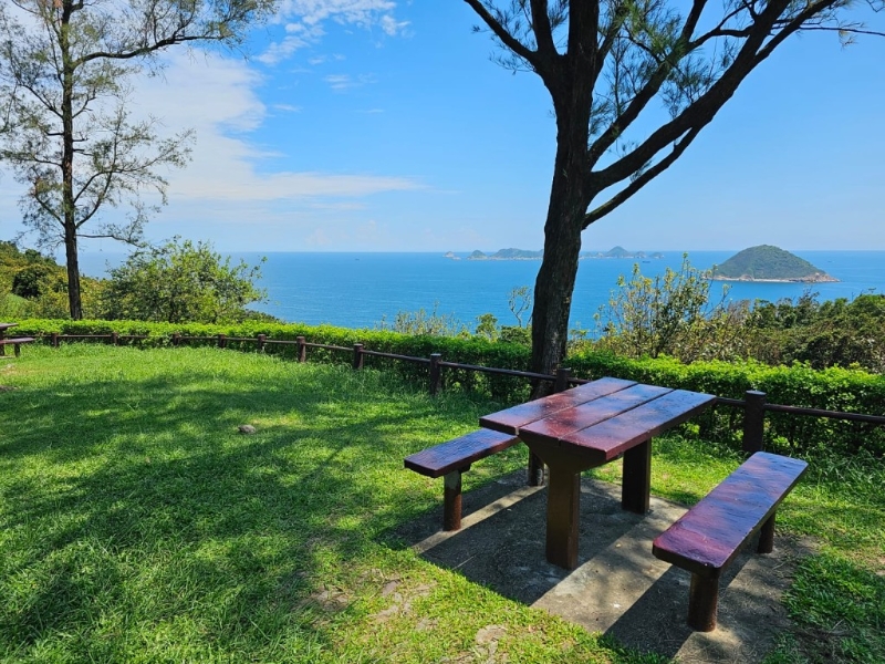 望著無遮擋海景野餐，比去海 景餐廳經濟得多。
