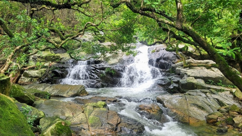 蓮苑臺瀑布 雖然面積較細，瀑布也不算高，但水流湍急，形成一道一道小浪頭。