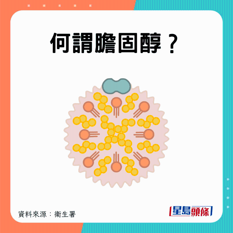 甚么是膽固醇？