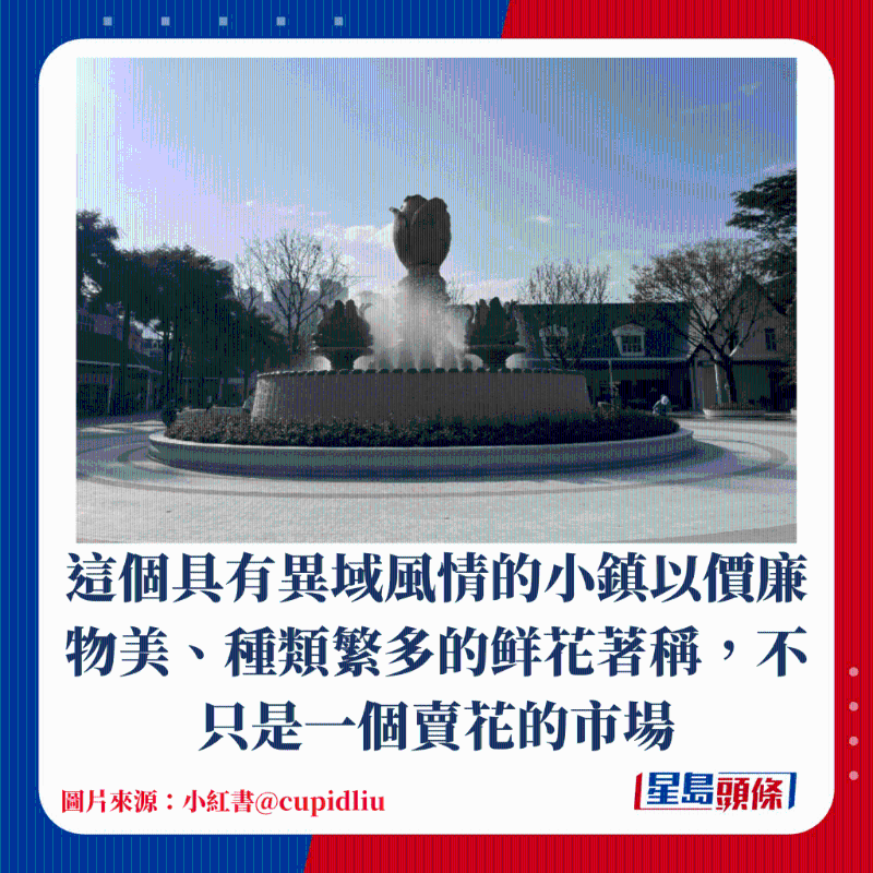 荷蘭花卉小鎮