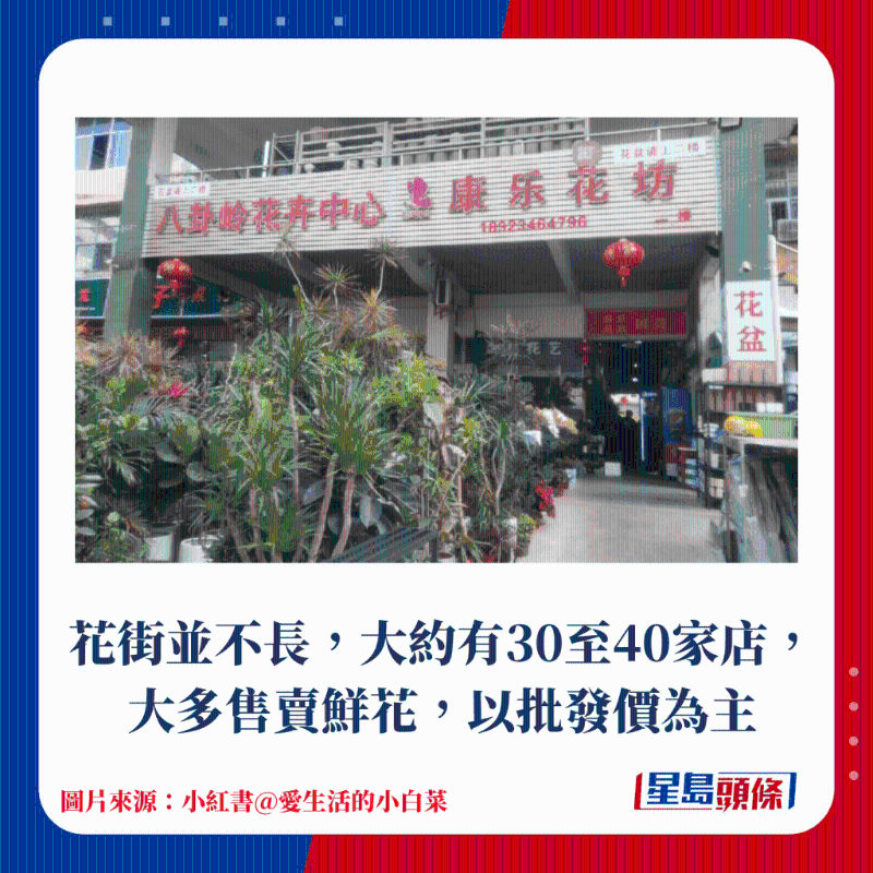 花街并不長，大約有30至40家店，大多售賣鮮花，以批發價為主