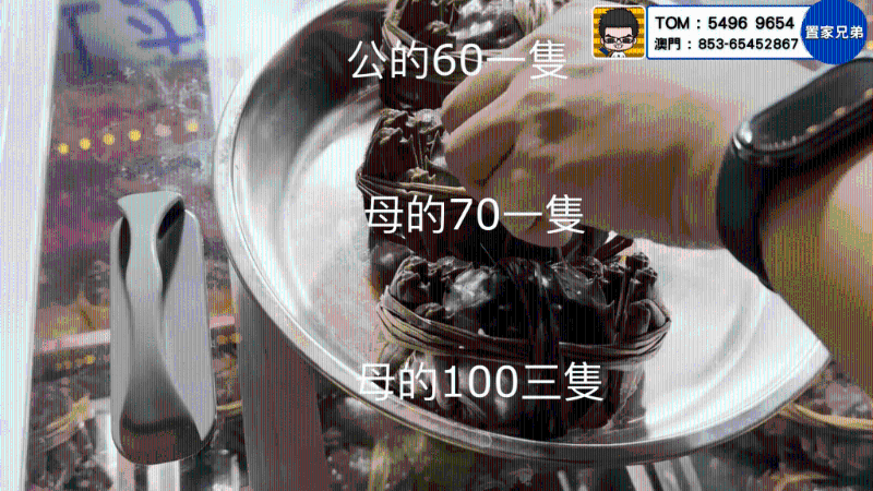 公大閘蟹￥60一只，母大閘蟹￥70一只、3只￥100 （圖片來源：Youtube@ CKBRO 置家兄弟）