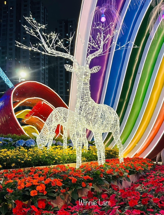 晚上到訪香港花展2024，跟白天的花展感覺截然不同。