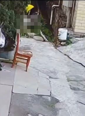 猥褻