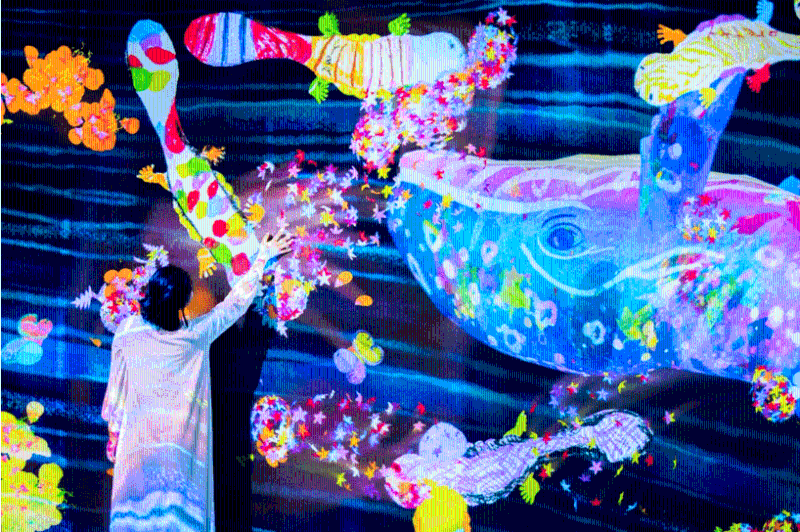 深圳 teamLab 共創！未來園