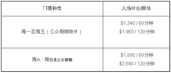 10次入場套票
