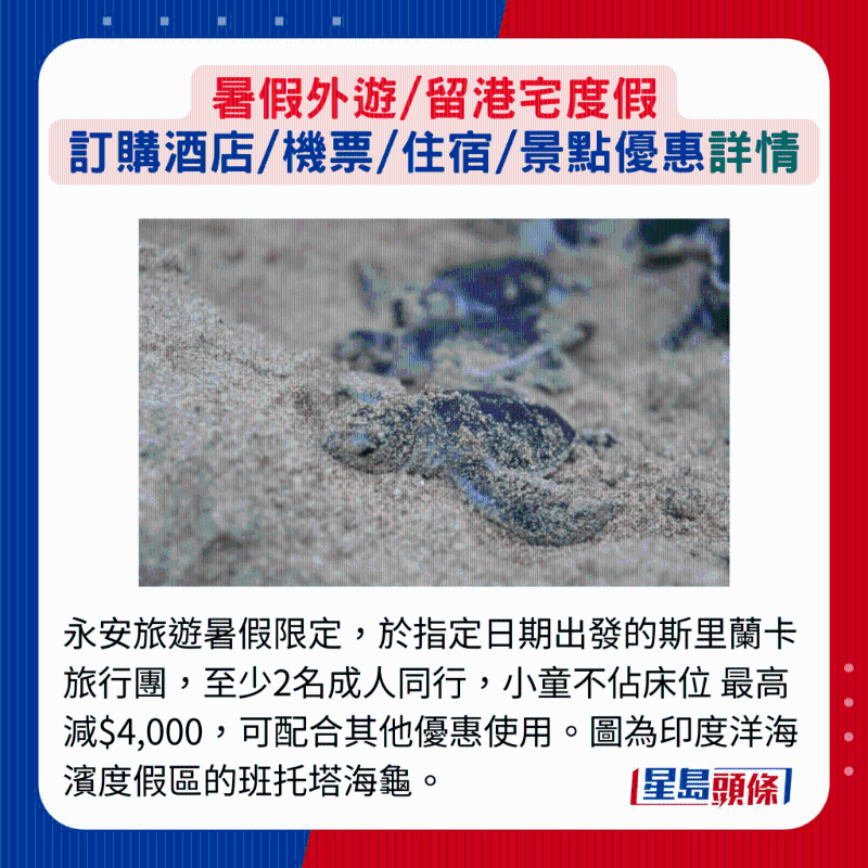 永安旅游暑假限定，于指定日期出發的斯里蘭卡旅行團，至少2名成人同行，小童不占床位 最高減$4,000，可配合其他優惠使用。 圖為印度洋海濱度假區的班托塔海龜。