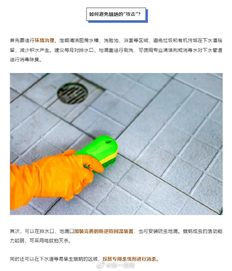 如何預防蛾蚋？