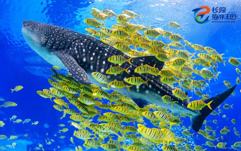 長隆海洋王國