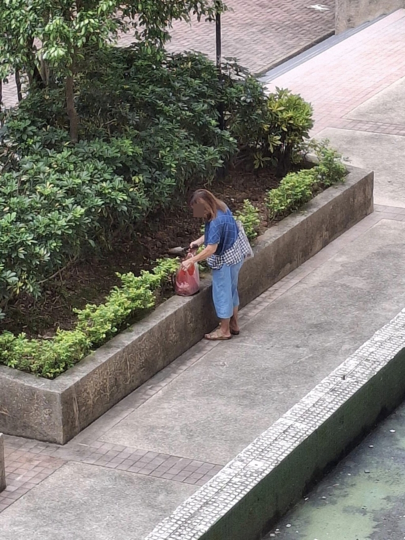 金發女子在花槽旁有所動作。 fb“筲箕灣西灣河關注組”截圖