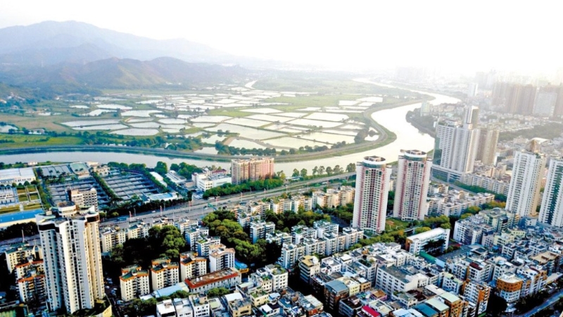 大灣區各市配合出臺政策取消妨礙樓市發展的限購令，加快包括新盤及二手交投。