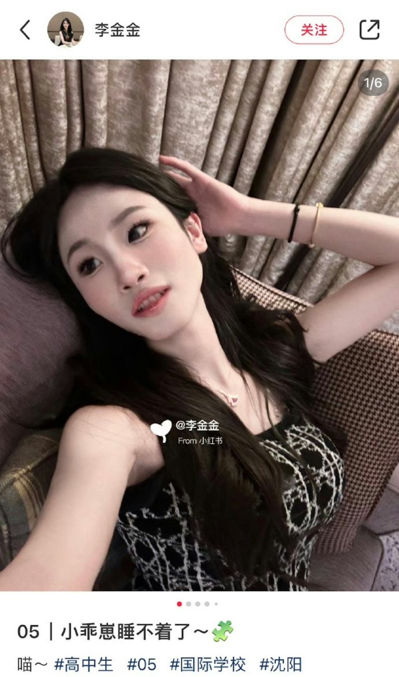有網民稱從種種資料顯示，這個變性人是一位有“京城喬姐”之稱的網紅李金金。