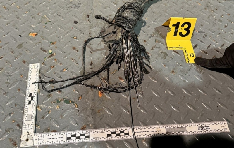 芬蘭去年和愛沙尼亞之間的海底電纜也受損。 路透社