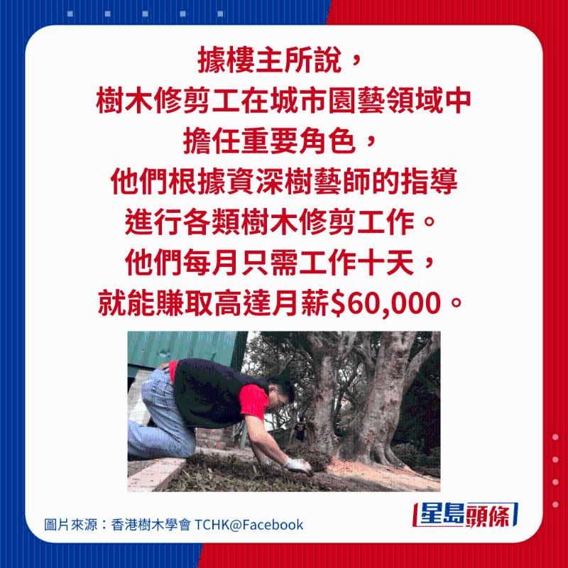 據樓主所說， 樹木修剪工在城市園藝領域中 擔任重要角色， 他們根據資深樹藝師的指導 進行各類樹木修剪工作。 他們每月只需工作十天， 就能賺取高達月薪$60,000。