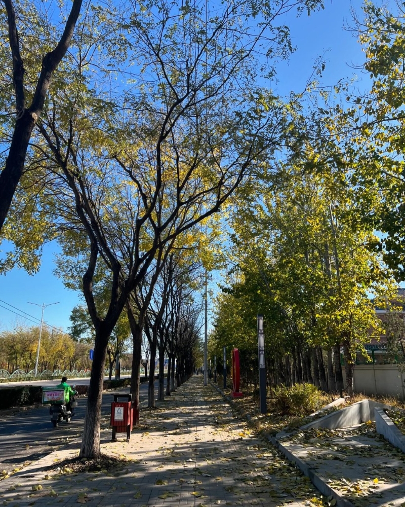 有網民認得梁洛施正身處北京。