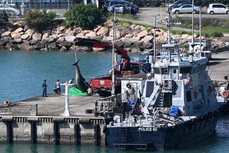 吊臂車在大欖水警基地運走鯨尸，送交漁護署海岸公園管理站解剖