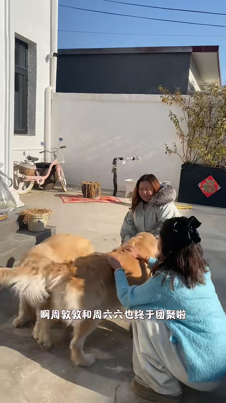 原來周六六和周墩墩再可以一起生活。