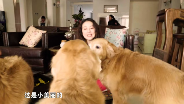 周海媚在大宅內養了不少寵物。