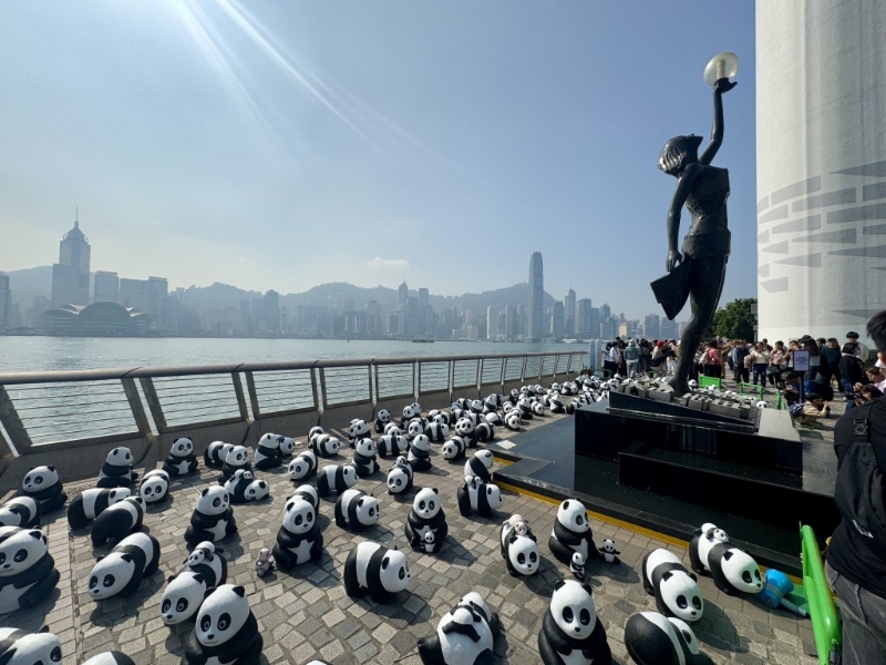 PANDA GO！香港游