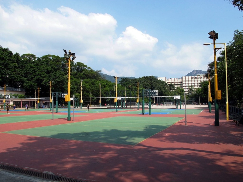 旺角花市2.界限街花墟公園