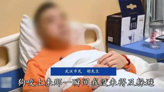 胡先生被愛犬咬至臉部重創需要留醫。
