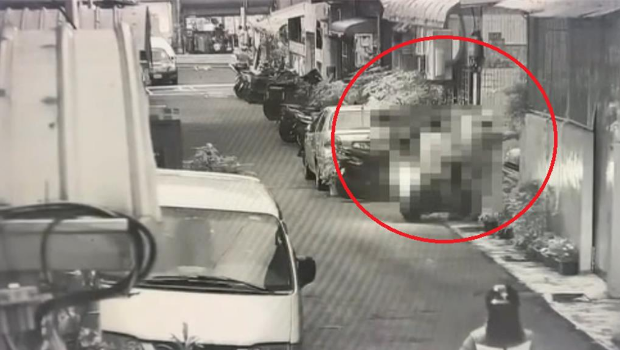 林婦與張男進入住處。