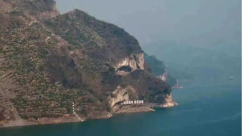 「狗仔山」蔚為奇觀。(微博)