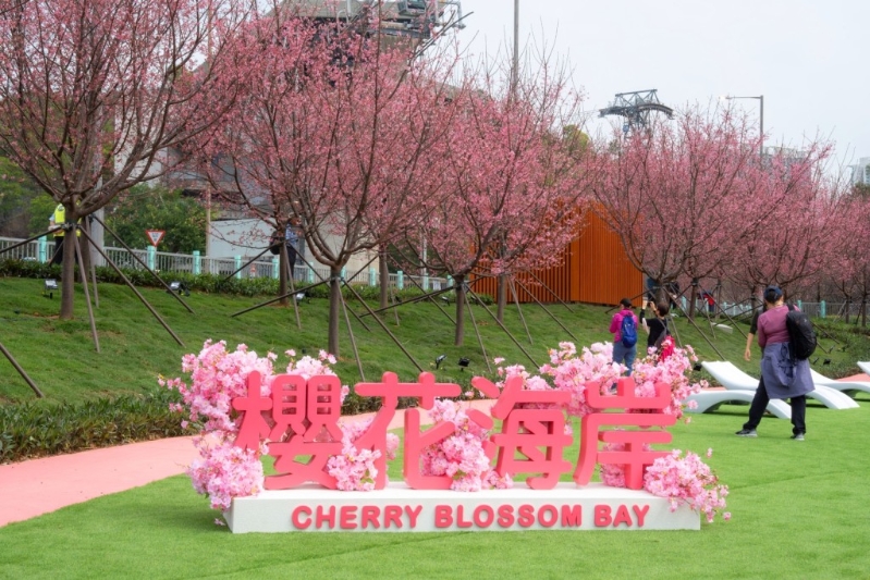 機場櫻花園