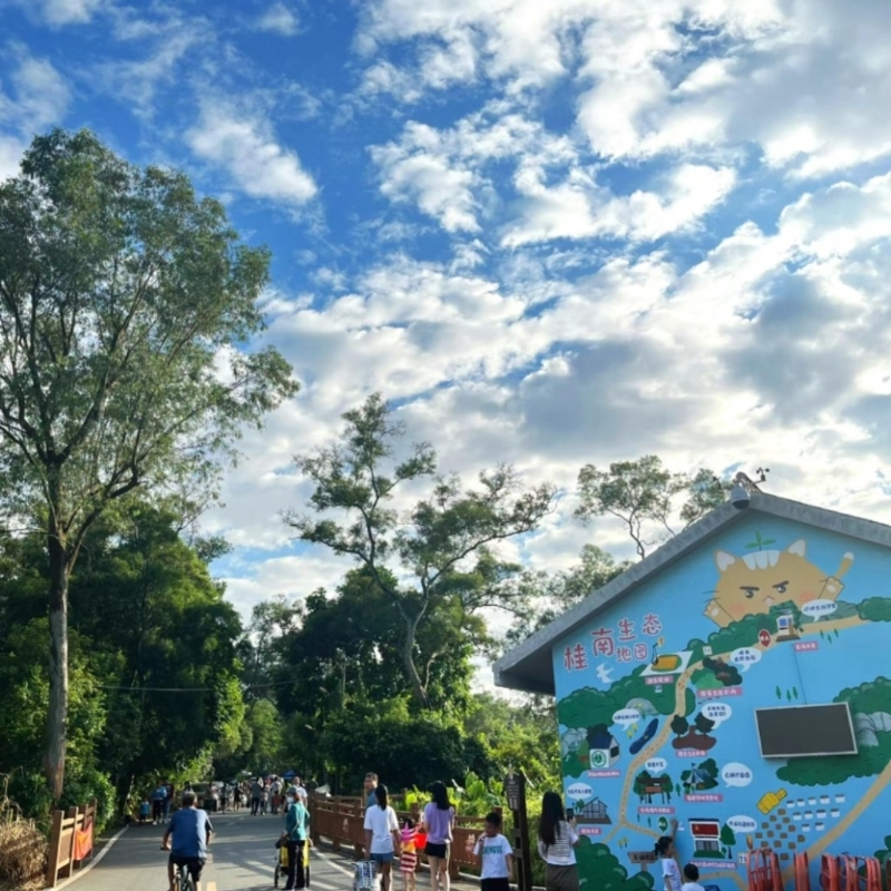 中山親子旅游2025｜1. 桂南村 從馬溪牌坊進入桂南村，可以輕鬆瀏覽農村風光。（圖片來源：小紅書＠蛋卷）