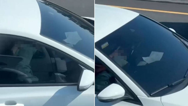 臺灣有女子在高速公路上為司機口交，引起熱議