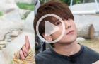 頂流姜濤迷惑行為+1，大饞小子竟學熊貓吃竹葉