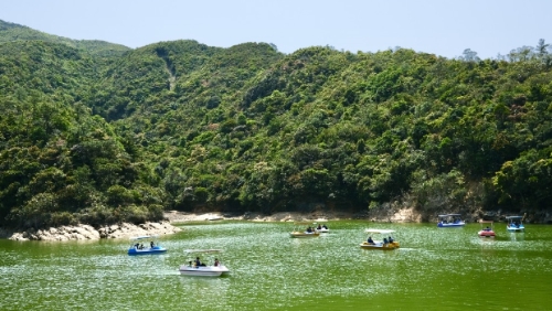趁春光明媚，一起到黃泥涌水塘踩船仔欣賞自然景致。