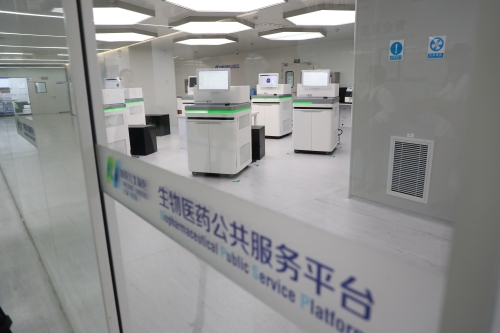 紫金山實驗室
