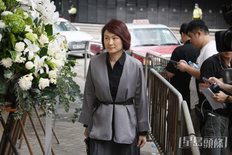 全國人大常委、民建聯李慧瓊。