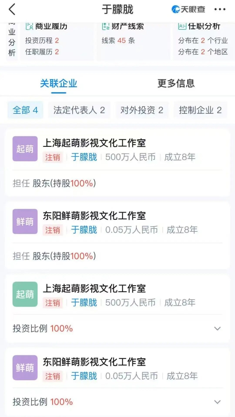 于朦朧名下公司
