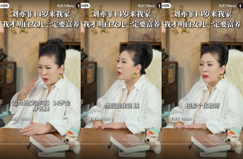 劉亦菲1 劉亦菲1